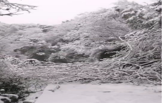 戰(zhàn)暴雪、保供電！湖南發(fā)展鳥(niǎo)兒巢公司應(yīng)對(duì)極端天氣緊急搶修失電故障