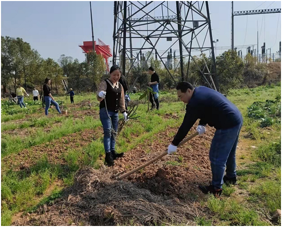 untitled1.png untitled1.png